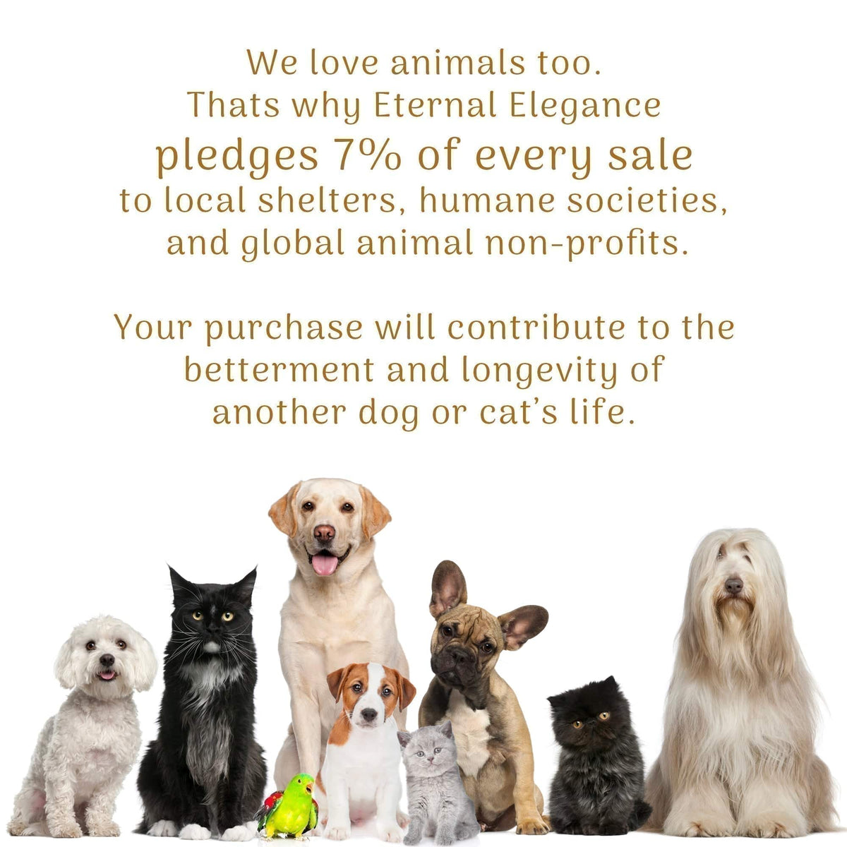 Eternal Elegance Dog Urns Australian Shepherd - Cosmic Bliss Dog Urn